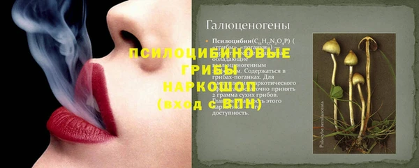 тгк Белокуриха